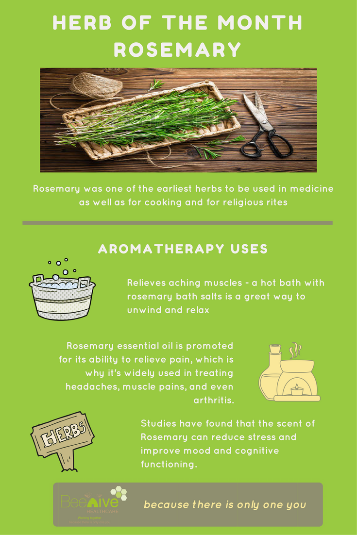 Infographic on our aromatherapy herb of the momnth - Rosemary